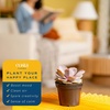 image:imageCosta Farms Succulents Live Indoor Plant Easy Care Home Decorin Grower Pot  3Pack