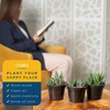 image:imageCosta Farms Succulents Live Indoor Plant Easy Care Home Decorin Growers Pot