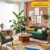 image:imageCosta Farms White Bird of Paradise Live Indoor Plant Easy CareWhite Bird of Paradise  Extra Large 45 Feet Tall  in Grow Pot