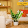 image:imageCosta Farms ZZ Plant Live Indoor Plant Air Purifying Easy CareZZ Plant  Large 23 Feet Tall  in Decorative Plant Pot