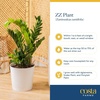 image:imageCosta Farms ZZ Plant Live Indoor Plant Air Purifying Easy CareZZ Plant  Large 23 Feet Tall  in Decorative Plant Pot