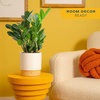 image:imageCosta Farms ZZ Plant Live Indoor Plant Air Purifying Easy CareZZ Plant  Medium 1220 Inches Tall  in Decorative Plant Pot