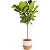 Décor Planter