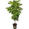 Grow Pot