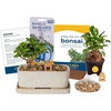 DIY Gardening Plant Kit