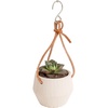 Hanging Basket Succulent Plant Pot