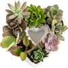Heart Frame DIY Kit