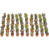 Nursery Plant Pot
