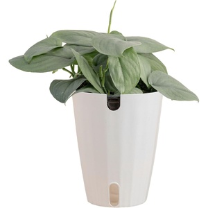 image:imageCosta Farms Live Indoor House Plants Live Indoor Plant Easy CareSelfWatering Plant Pot