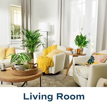 Costa Farms｜Farm‑Fresh Houseplants For Home & Office