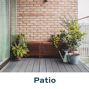 Costa Farms｜Farm‑Fresh Houseplants For Home & Office