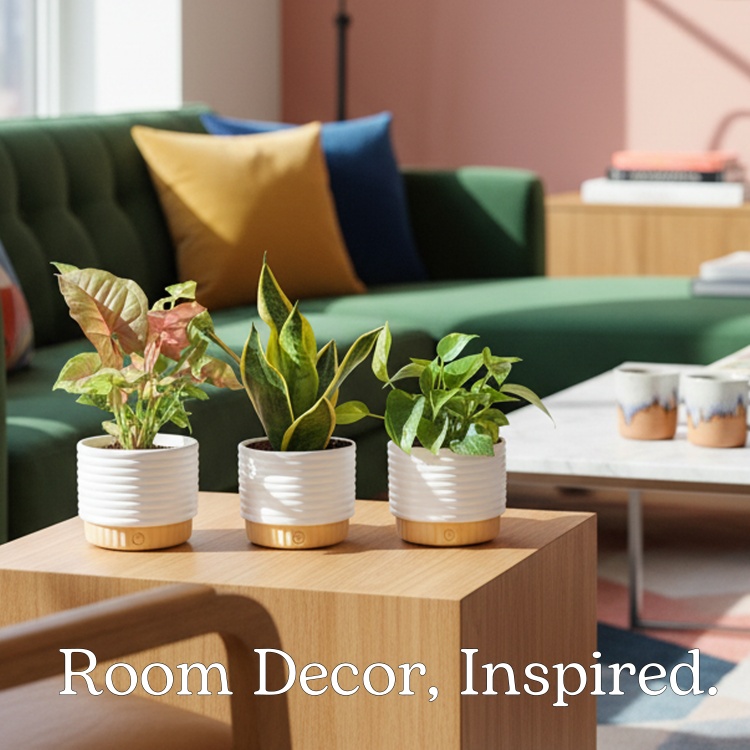 Costa Farms｜Farm‑Fresh Houseplants For Home & Office